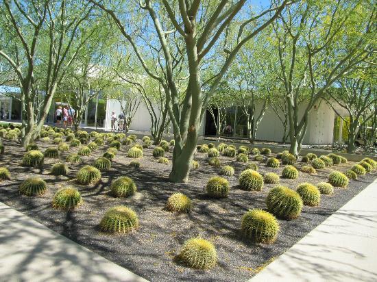 Sunnylands Center & Gardens